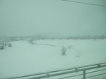 20081227_036.jpg